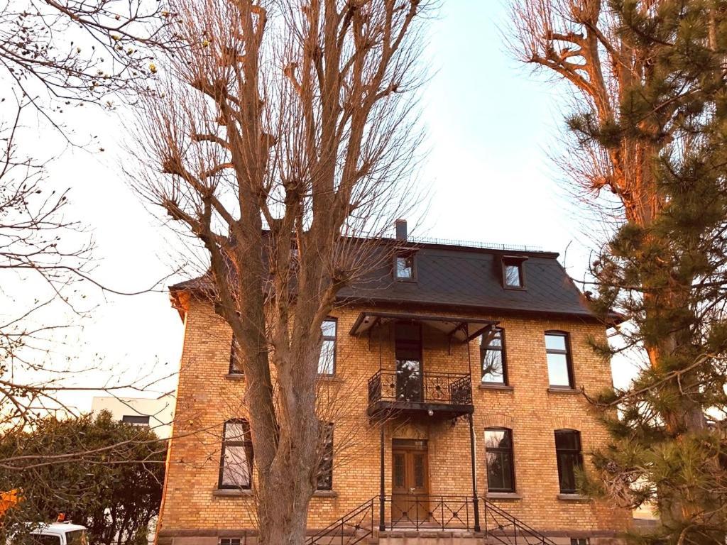 Domaine Sequoia Apartment Stutzheim Exterior foto